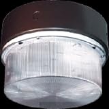 RAB Lighting VANDALPROOF 15