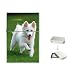 American Eskimo Flip Top Lighter