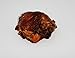 Jack's Premium All Natural Beef Knee Caps Made in USA Beef Chews for Dogs