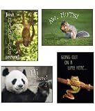 Scripture Greeting Cards-KJV-Boxed-Thinking of You - 
