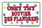 Obey thy BOUVIER DES FLANDRES Apron
