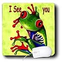 Kids Stuff - Frog I see You - Mouse Pads