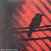 Le post-rock et le post-hardcore en 17 groupes