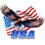 Usa/Eagle/Flag Womens T-Shirt Dress