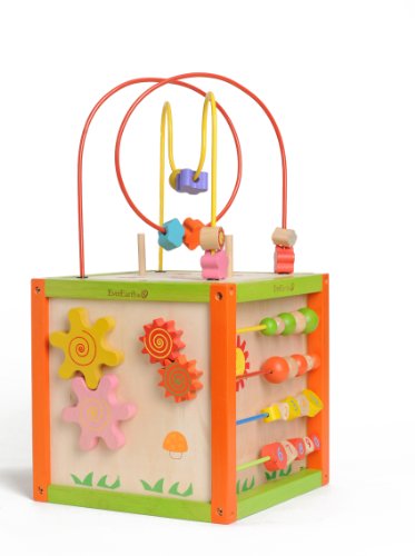 ever earth activity cube