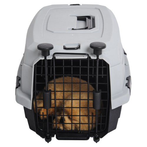 19 inch pet carrier