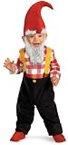 Toddler Garden Gnome Costume