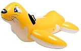 Sea Lion Ride-0n