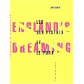 England's dreaming : les Sex Pistols et le mouvement punk