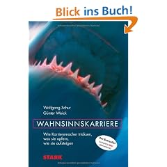 Business & Karriere: Wahnsinnskarriere. Wie Karrieremacher tricksen; Was sie opfern; Wie sie aufsteigen