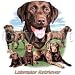 Labrador Retriever Chocolate Womens Scoop Neck T-Shirt