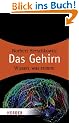 Das Gehirn: Wissen was stimmt (HERDER spektrum)