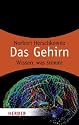 Das Gehirn: Wissen was stimmt (HERDER spektrum)