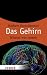 Das Gehirn: Wissen was stimmt