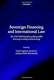 Sovereign financing and international law : the UNCTAD principles on responsible sovereign lending and borrowing