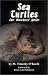Book Sea Turtles: The Watcher's Guide