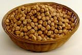 Organic Sprouting Seeds Garbanzo