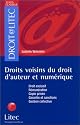 Droits voisins du droit d'auteur et numérique (ancienne édition)