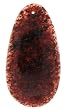 Sun Rock - Drop Shape - 33X64mm - 1.5mm Hole