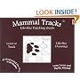 Mammal Tracks : Life-Size Tracking Guide