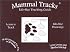 Mammal Tracks : Life-Size Tracking Guide