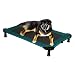 Portable Pet Cot- Moss Green(Large)