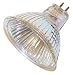 Tools & Hardware : 20 watt 12 volt MR16 Halogen Flood 35 Degree BAB Incandescent Sylvania Light Bulb