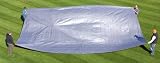 20x30 Tarp Silver / Blue