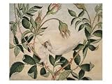 A Fairy Resting in a Hammock Spun from a Cobweb Art Giclee Poster Print by Amelia Jane Murray, 24x18