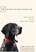  : 10 Secrets My Dog Taught Me: Life Lessons from a Man's Best Friend