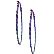 Niobium Braided Hoop Earrings