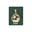 Eastern Illinois Univ "Eiu" Soccerball Charm/Pendant -14K/10K, Stainless Steel or Gold Plated