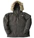 ザノースフェイス(THE NORTH FACE) Men's Ice Jacket Green [並行輸入品]