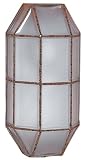 3045 Outdoor Lighting Wall Fixture in Rust & Frost