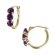FOJO's 14K Gold Genuine Amethyst Hoop Earrings