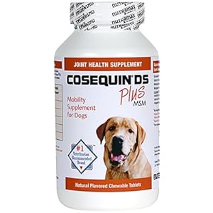 Cosequin Ds Plus Msm Joint Health Supplement For Dogs - 180 Chewable Tablets
