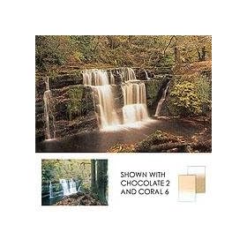 Lee Coral Grad 8 Soft Graduated Coral Filter 4x6 Resin