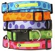 Barker & Meowsky 1" Wide Designer Blueberry Spot Dog Collar - Medium