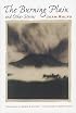 The Burning Plain: and other Stories (Texas Pan American Series)