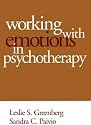 Working with Emotions Psychotherapy (The Practicing Professional)