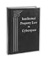 Intellectual Property Law in Cyberspace