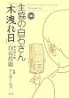 生協の白石さん 木洩れ日