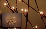 Willow Branch Floral Lights 60 lights