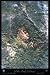 Pikes Peak, Colorado Satellite Print, 24x36