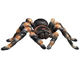 Discovery Exclusive Radio Control Tarantula