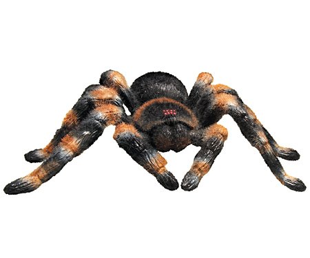Discovery Exclusive Radio Control Tarantula