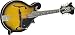 Musical Instruments : Rogue RM100F F-Style Mandolin
