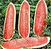 Jubilee Watermelon ~Seeds 50 fresh seeds~