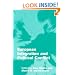 European Integration and Political Conflict (Themes in European Governance)