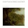 Diversity and the Tropical Rain Forest (Scientific American Library)